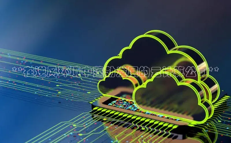 意昂4凯捷娱乐华策影视**在逆风环境中蓬勃发展的云计算公司**