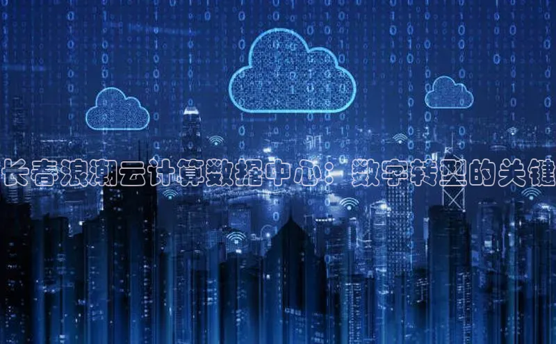 凯捷百度翻译长春浪潮云计算数据中心：数字转型的关键
