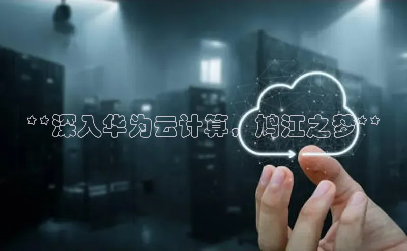 凯捷百度翻译**深入华为云计算，鸠江之梦**