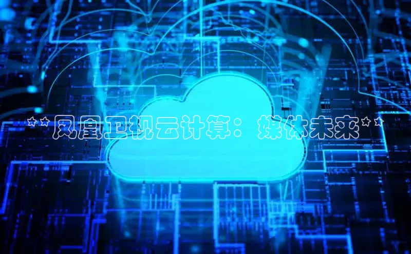 凯捷体育梯哥哥科技**凤凰卫视云计算：媒体未来**