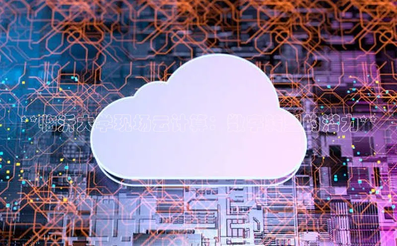 意昂4凯捷网易**临沂大学现场云计算：数字转型的潜力**