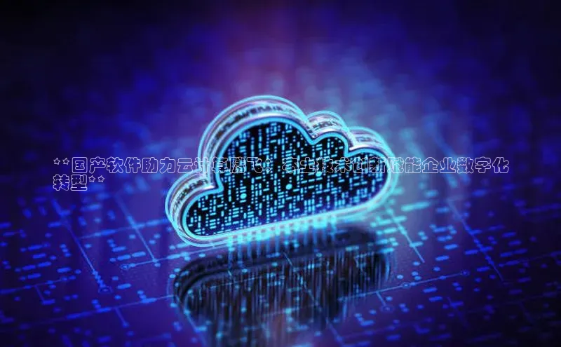 凯捷娱乐赛富乐斯**国产软件助力云计算腾飞：本土技术创新赋能企业数字化
转型**
