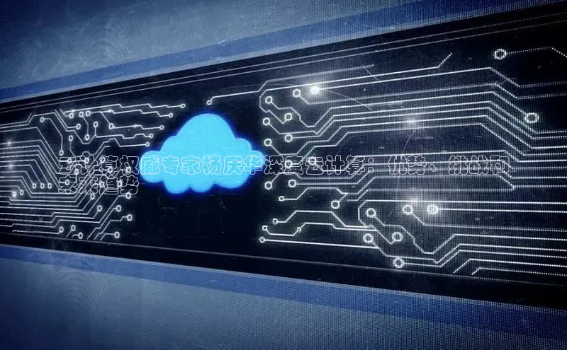 意昂4凯捷娱乐云创智行云计算权威专家杨庆华深度云计算：优势、挑战和
未来趋势