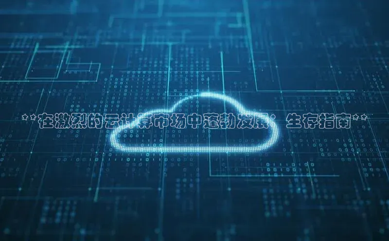 凯捷娱乐赛富乐斯**在激烈的云计算市场中蓬勃发展：生存指南**