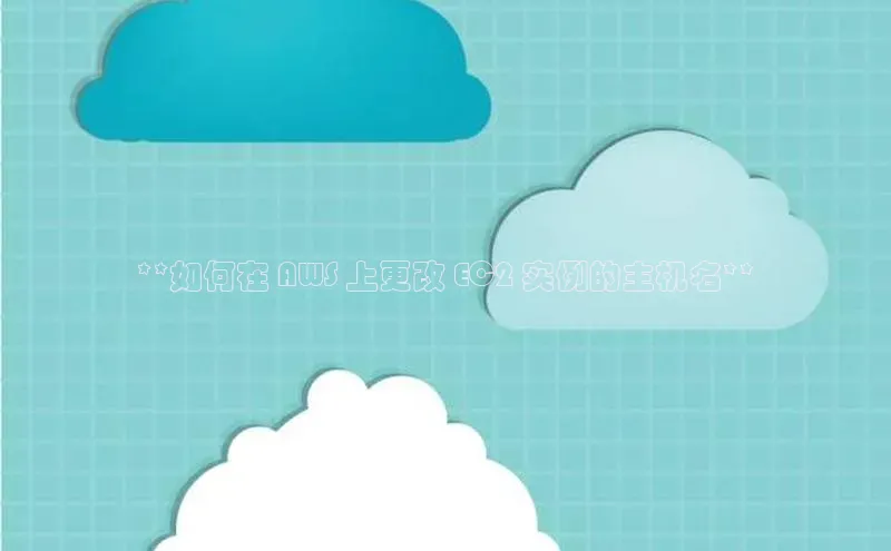 意昂4凯捷娱乐京东**如何在 AWS 上更改 EC2 实例的主机名**