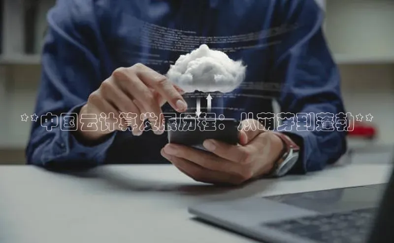 凯捷体育普信公司**中国云计算发展历程：从萌芽到蓬勃**