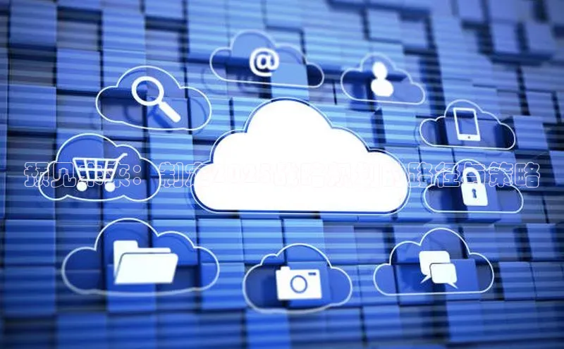 预见未来：制定2025战略规划的路径与策略