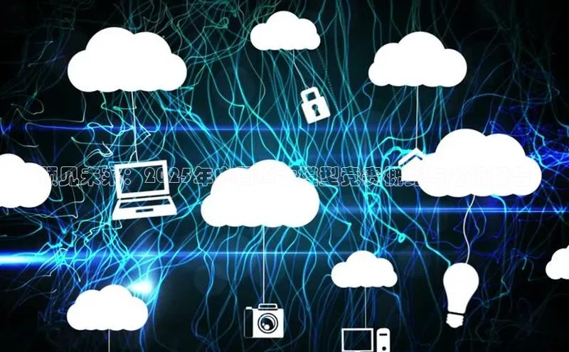 预见未来：2025年中国AI大模型竞赛概览与分析报告